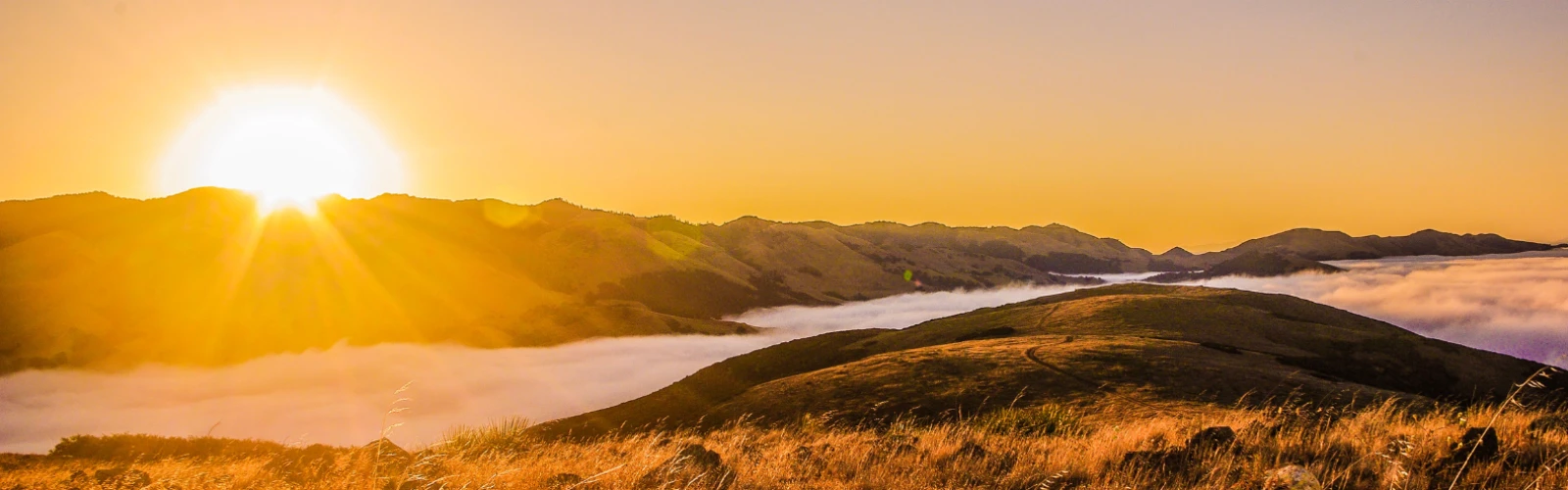 Must-See Attractions and Things to Do in San Luis Obispo